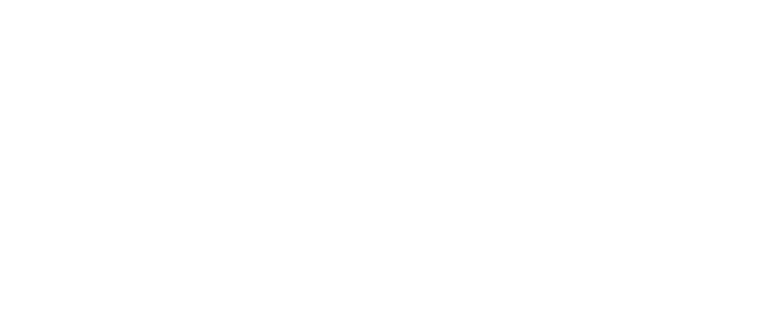 logo-strauss